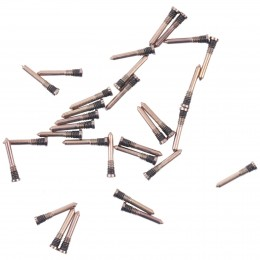 iPhone 13 Pro Bottom Screws Gold